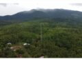 10 Izin Tambang Nikel Ancam Sumber Air di Kaki Gunung Tompotika, Jejaring Pemodal Jadi Sorotan