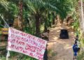 Sungai Tercemar Ancam Lima Desa Akibat Tambang Emas Ilegal di Labonu Tolitoli