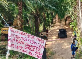 Sungai Tercemar Ancam Lima Desa Akibat Tambang Emas Ilegal di Labonu Tolitoli